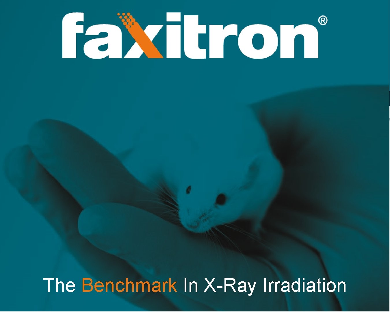 The Benchmark In X-Ray Irradiation 