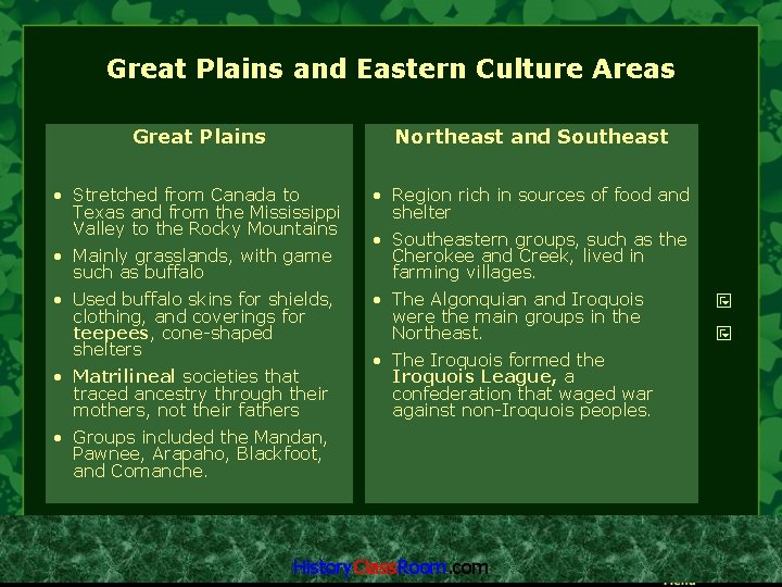Great Plains and Eastern Culture Areas Great Plains Northeast and Southeast • Stretched from