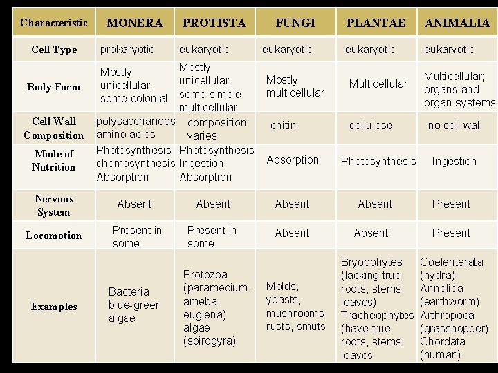 Characteristic Cell Type Body Form Cell Wall Composition Mode of Nutrition Nervous System Locomotion