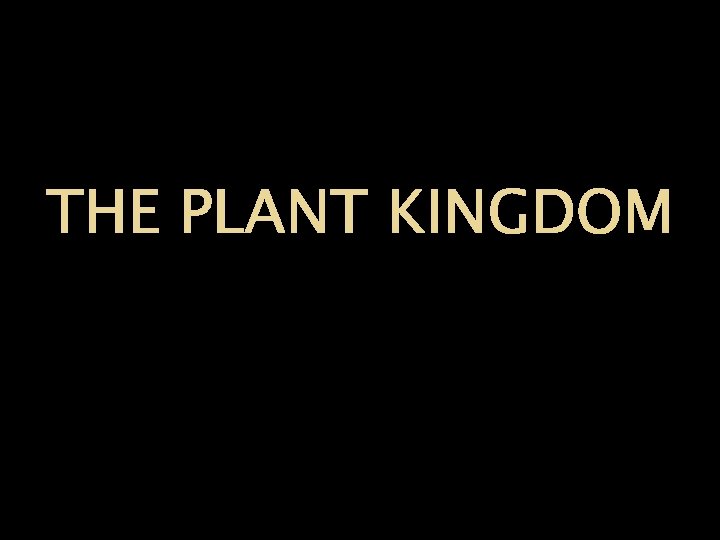 THE PLANT KINGDOM 