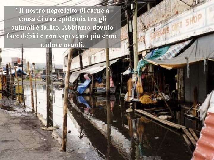 "Il nostro negozietto di carne a causa di una epidemia tra gli animali è