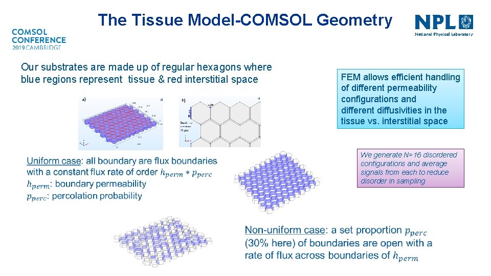 The Tissue Model-COMSOL Geometry Our substrates are made up of regular hexagons where blue