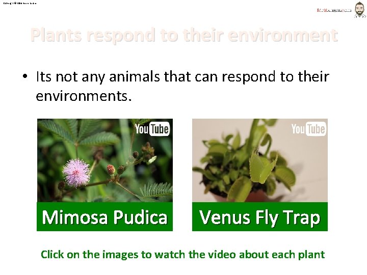 Copyright © 2014 Henry Exham Plants respond to their environment • Its not any