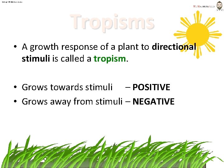 Copyright © 2014 Henry Exham Tropisms • A growth response of a plant to