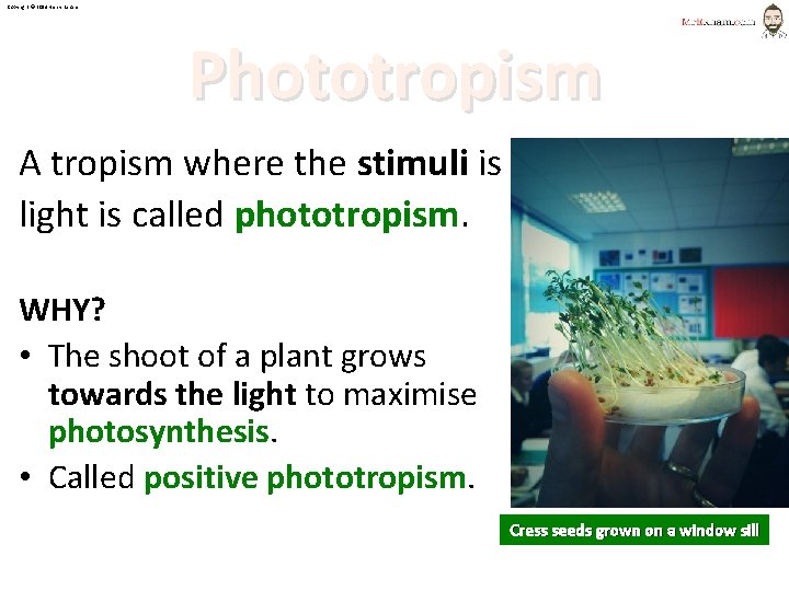 Copyright © 2014 Henry Exham Phototropism A tropism where the stimuli is light is