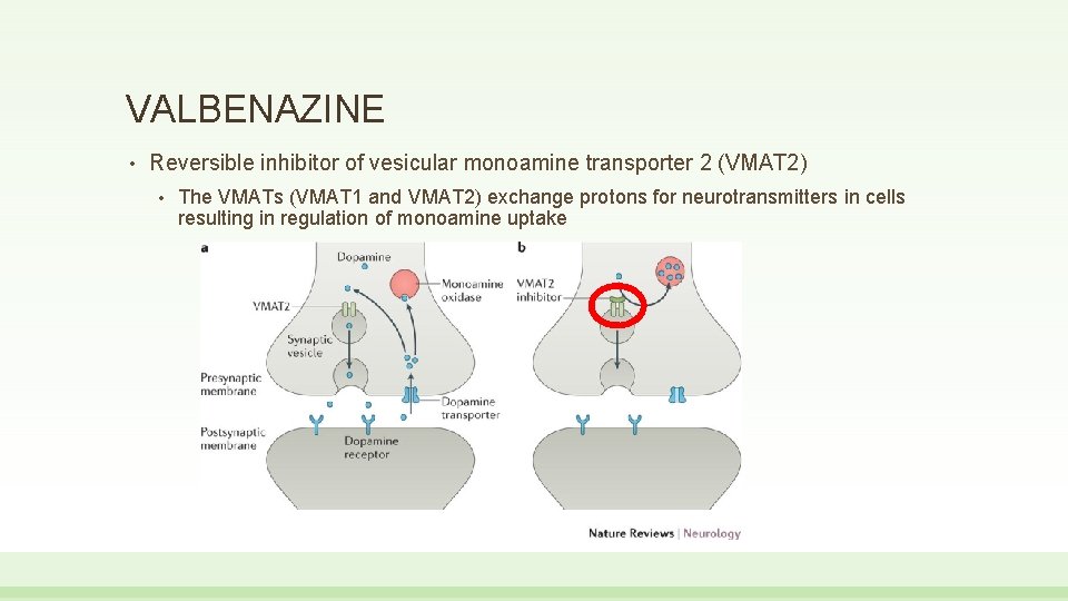 VALBENAZINE • Reversible inhibitor of vesicular monoamine transporter 2 (VMAT 2) • The VMATs