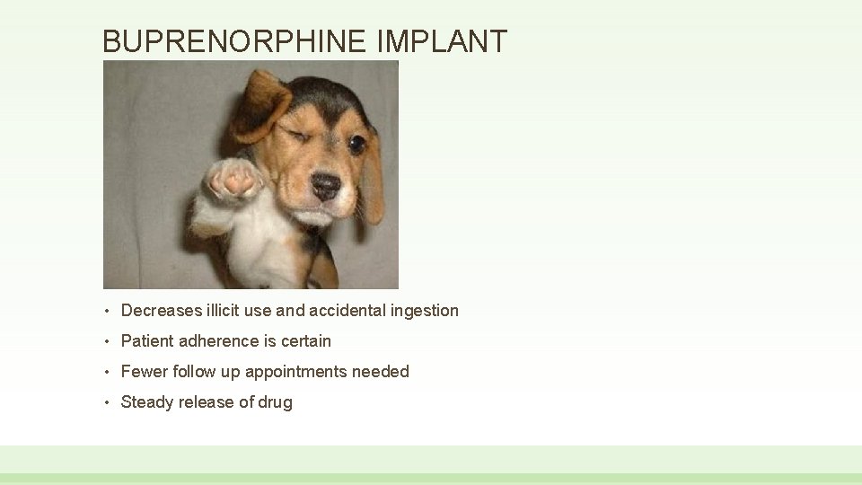 BUPRENORPHINE IMPLANT • Decreases illicit use and accidental ingestion • Patient adherence is certain