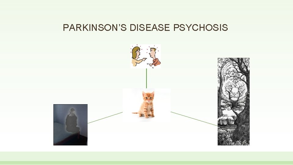 PARKINSON’S DISEASE PSYCHOSIS DELUSION S HALLUCINATIONS FALSE SENSE OF PRESENC E ILLUSION S 