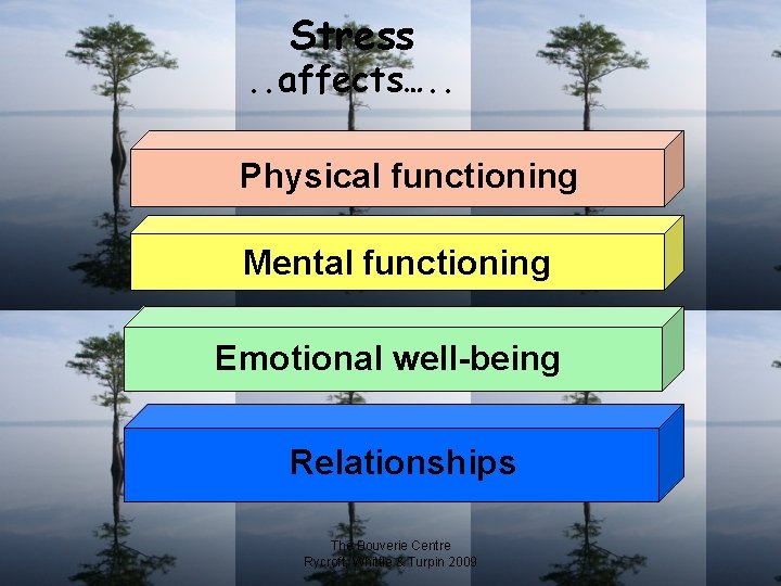 Stress . . affects…. . Physical functioning Mental functioning Emotional well-being Relationships The Bouverie