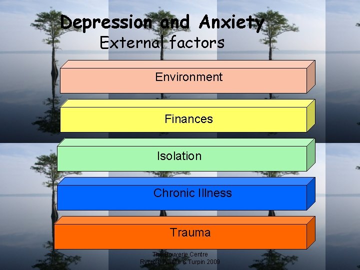 Depression and Anxiety External factors Environment Finances Isolation Chronic Illness Trauma The Bouverie Centre