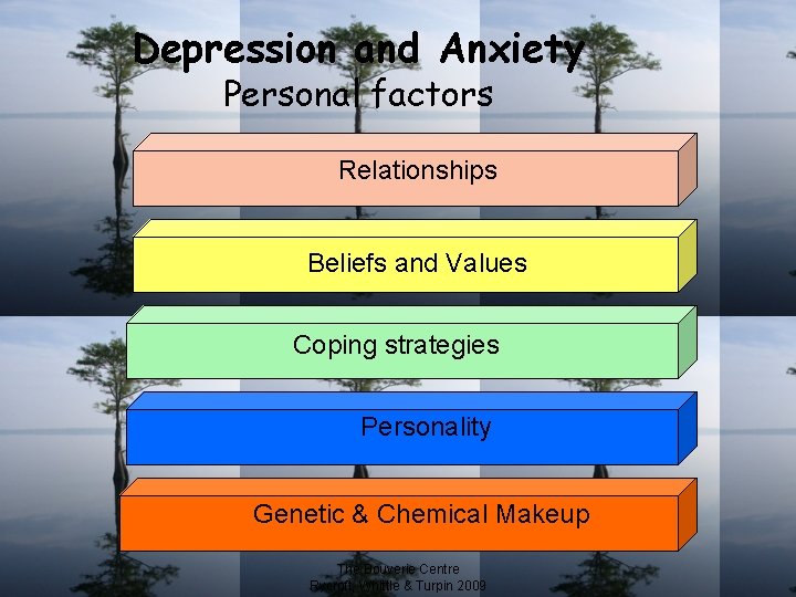 Depression and Anxiety Personal factors Relationships Beliefs and Values Coping strategies Personality Genetic &