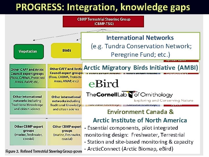 PROGRESS: Integration, knowledge gaps International Networks (e. g. Tundra Conservation Network; Peregrine Fund; etc.
