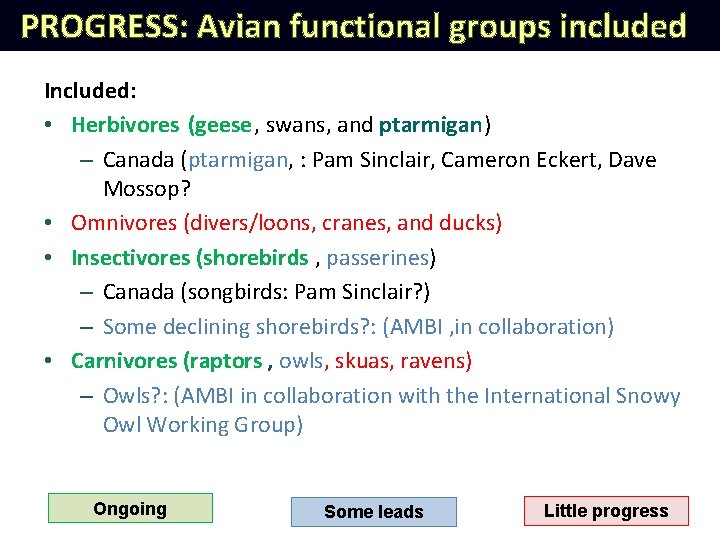 PROGRESS: Avian functional groups included Included: • Herbivores (geese, swans, and ptarmigan) – Canada