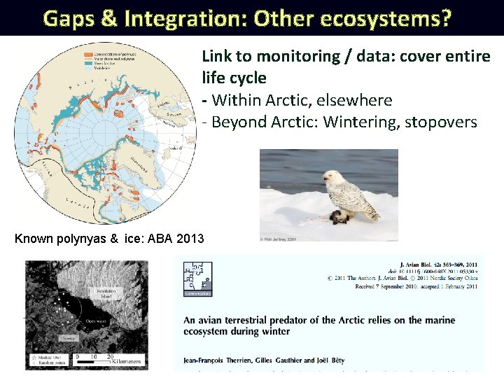Gaps & Integration: Other ecosystems? Link to monitoring / data: cover entire life cycle