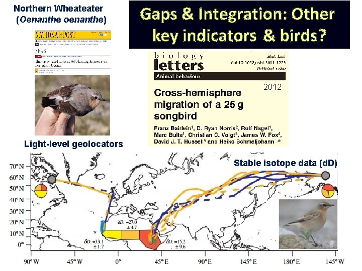Northern Wheateater (Oenanthe oenanthe) Gaps & Integration: Other key indicators & birds ? 2012