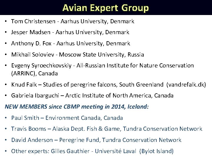 Avian Expert Group • Tom Christensen - Aarhus University, Denmark • Jesper Madsen -