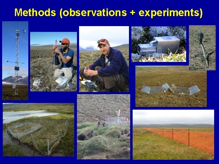 Methods (observations + experiments) 