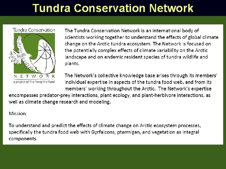 Tundra Conservation Network 