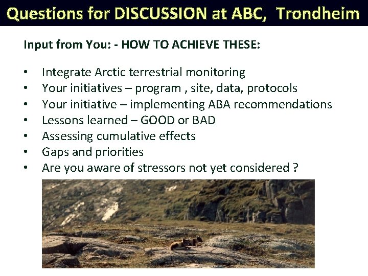 Questions for DISCUSSION at ABC, Trondheim Input from You: - HOW TO ACHIEVE THESE: