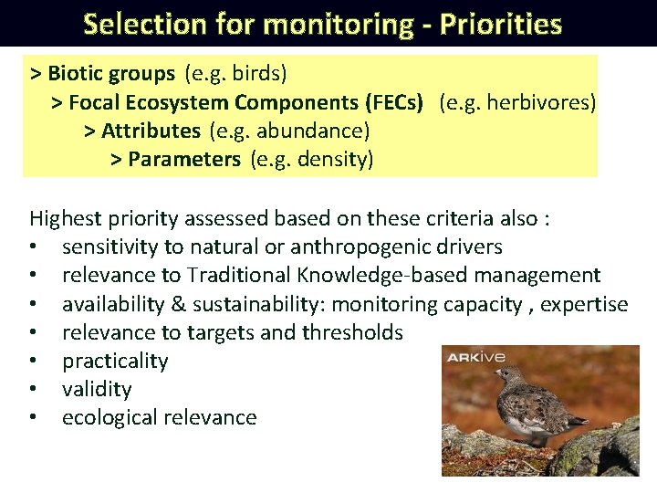 Selection for monitoring - Priorities > Biotic groups (e. g. birds) > Focal Ecosystem