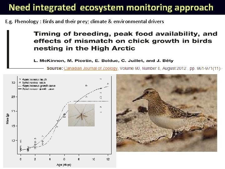 Need integrated ecosystem monitoring approach E. g. Phenology : Birds and their prey; climate