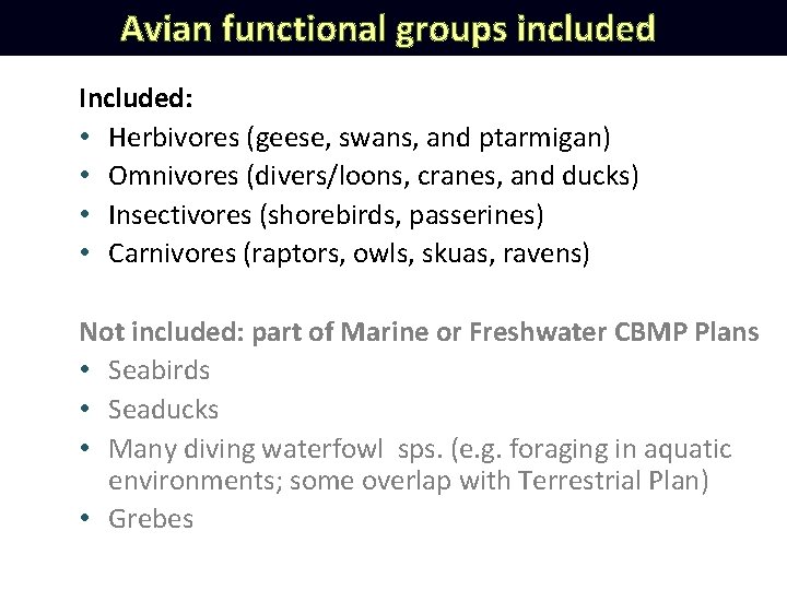Avian functional groups included Included: • Herbivores (geese, swans, and ptarmigan) • Omnivores (divers/loons,
