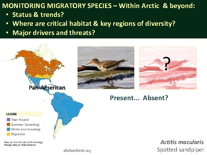 MONITORING MIGRATORY SPECIES – Within Arctic & beyond: • Status & trends? • Where
