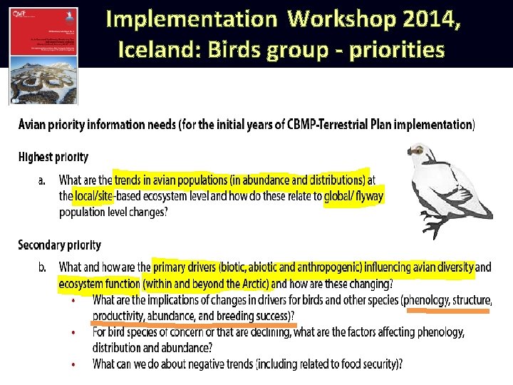Implementation Workshop 2014, Iceland: Birds group - priorities 