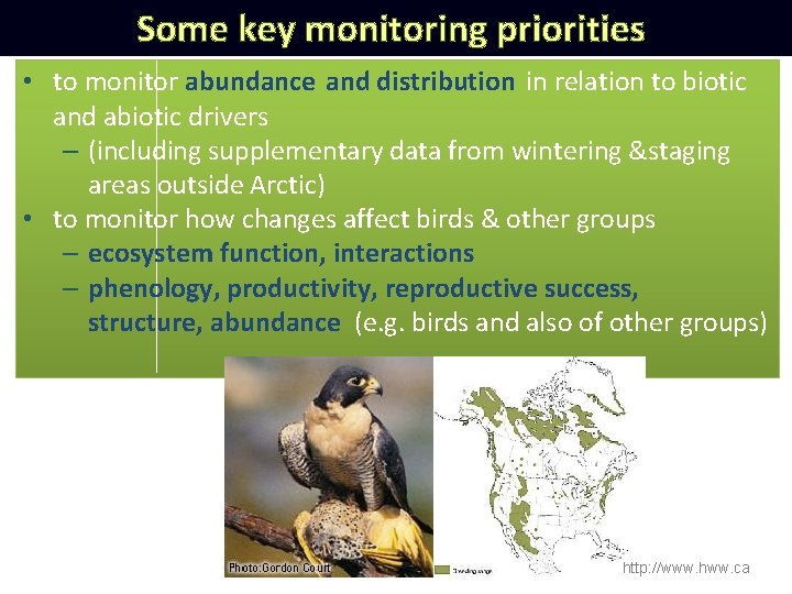 Some key monitoring priorities • to monitor abundance and distribution in relation to biotic