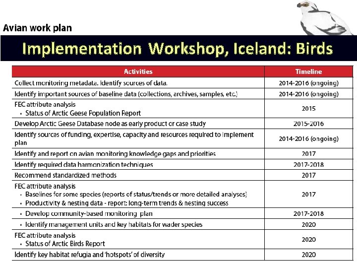 Implementation Workshop, Iceland: Birds 