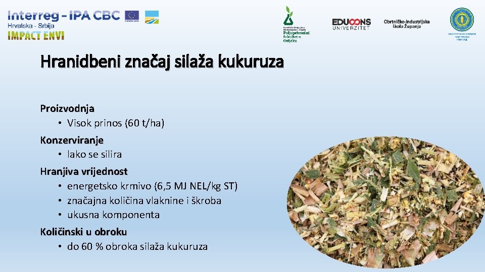 Hranidbeni značaj silaža kukuruza Proizvodnja • Visok prinos (60 t/ha) Konzerviranje • lako se