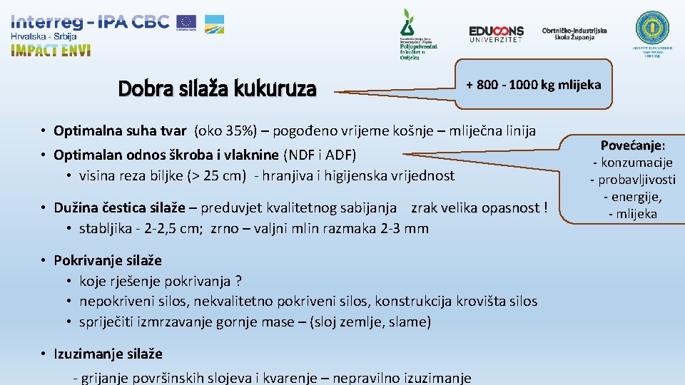 Dobra silaža kukuruza + 800 - 1000 kg mlijeka • Optimalna suha tvar (oko