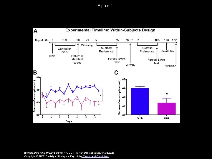 Figure 1 Biological Psychiatry 2018 83137 -147 DOI: (10. 1016/j. biopsych. 2017. 08. 023)