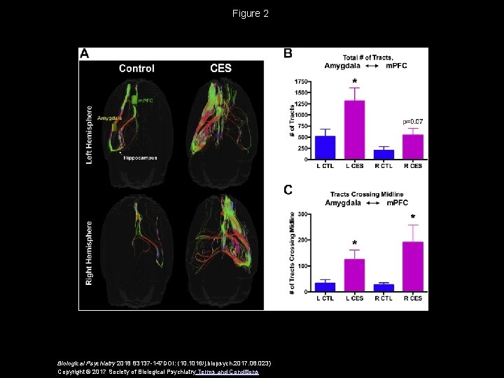 Figure 2 Biological Psychiatry 2018 83137 -147 DOI: (10. 1016/j. biopsych. 2017. 08. 023)