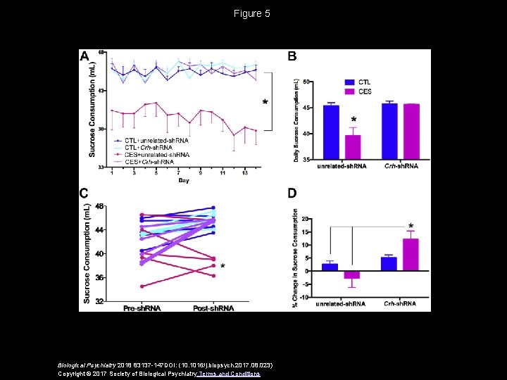 Figure 5 Biological Psychiatry 2018 83137 -147 DOI: (10. 1016/j. biopsych. 2017. 08. 023)