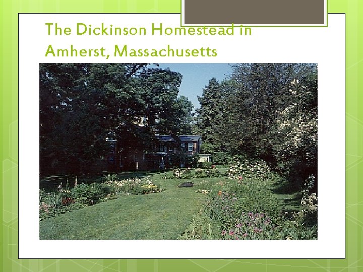 The Dickinson Homestead in Amherst, Massachusetts (garden) 