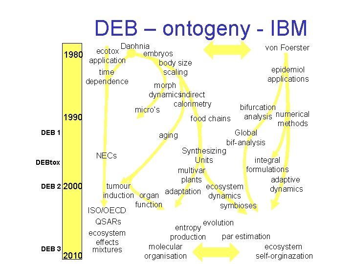DEB – ontogeny - IBM Daphnia ecotox embryos 1980 application body size time scaling