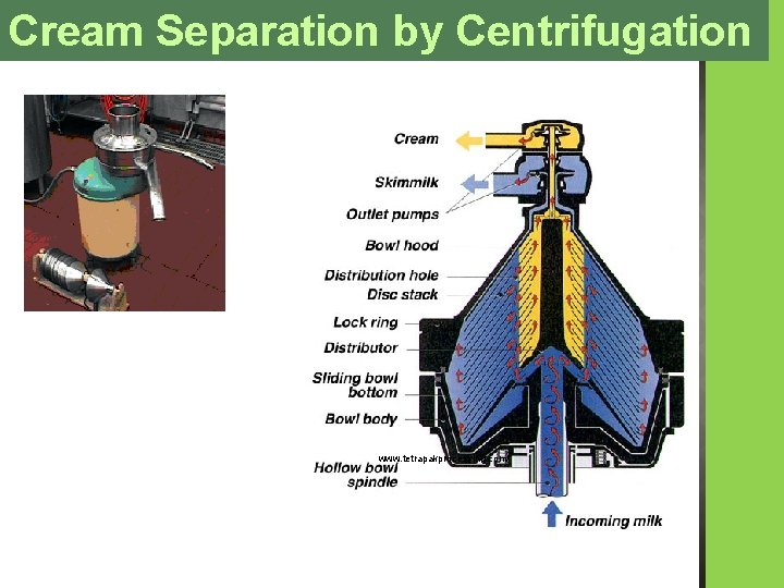 Cream Separation by Centrifugation www. tetrapakprocessing. com/ 