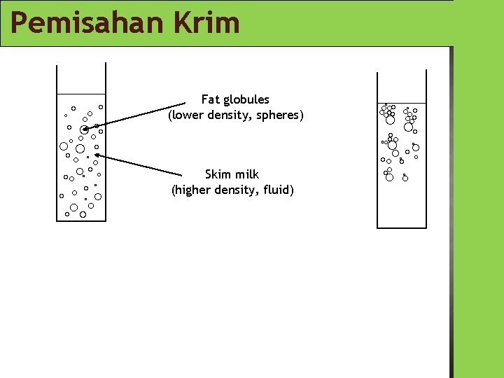 Pemisahan Krim Fat globules (lower density, spheres) Skim milk (higher density, fluid) 