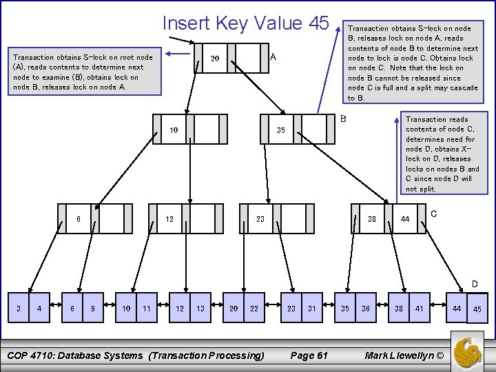Insert Key Value 45 Transaction obtains S-lock on root node (A), reads contents to Insert Key Value 45 Transaction obtains S-lock on root node (A), reads contents to
