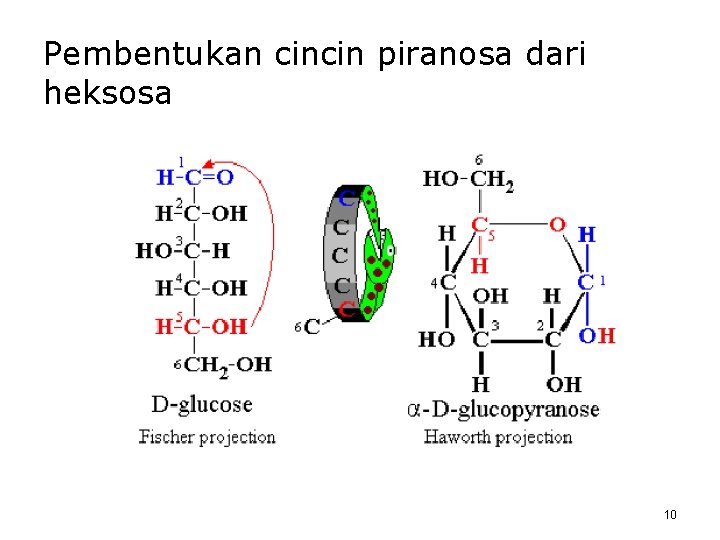 Pembentukan cincin piranosa dari heksosa 10 