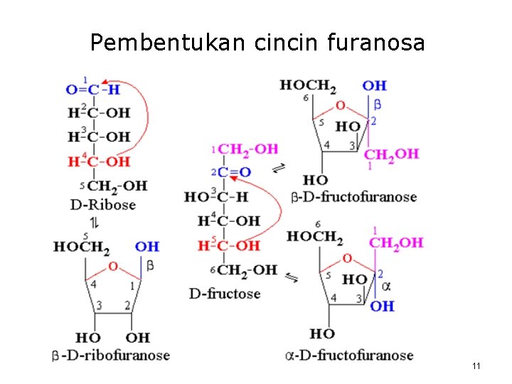 Pembentukan cincin furanosa 11 