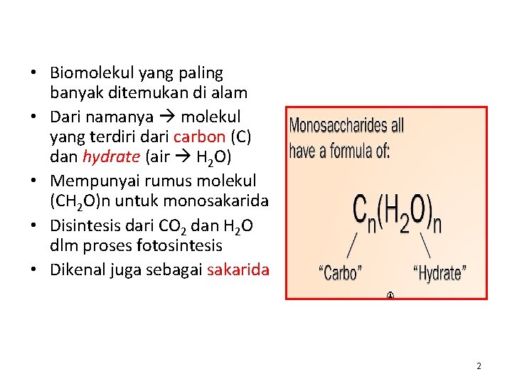  • Biomolekul yang paling banyak ditemukan di alam • Dari namanya molekul yang