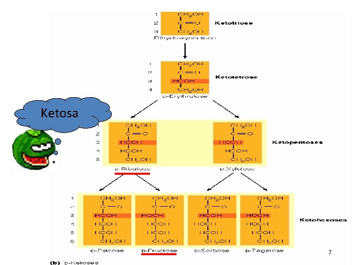 Ketosa 7 