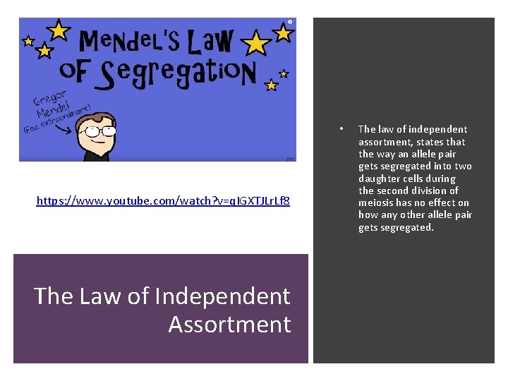  • https: //www. youtube. com/watch? v=q. IGXTJLr. Lf 8 The Law of Independent