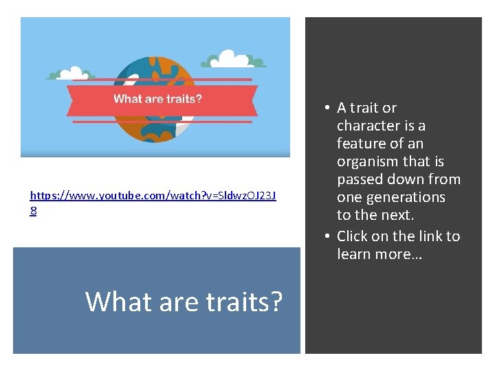 https: //www. youtube. com/watch? v=Sldwz. OJ 23 J 8 What are traits? • A