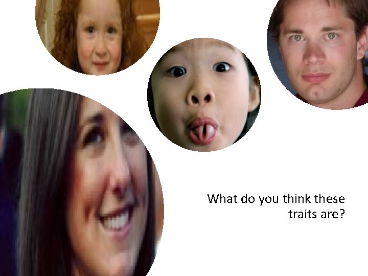 What do you think these traits are? 