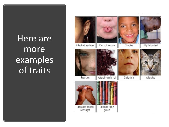 Here are more examples of traits 