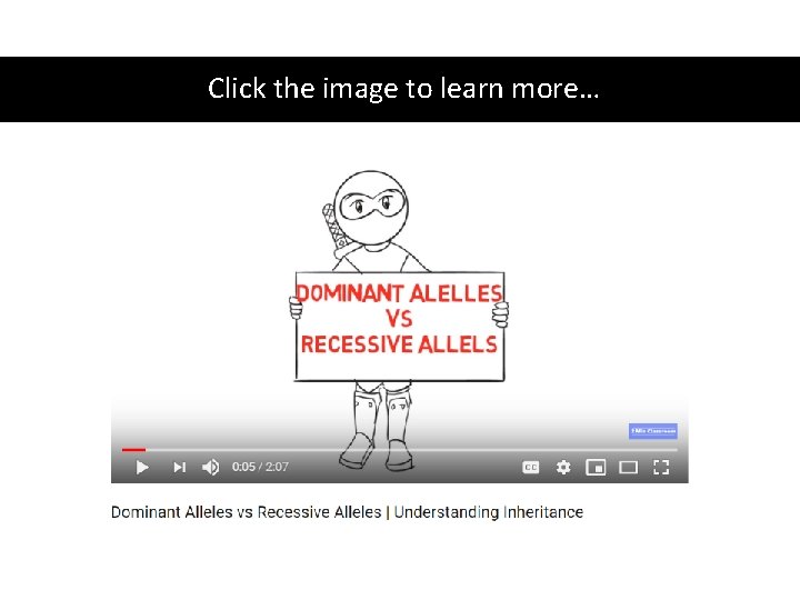 Click the image to learn more… 