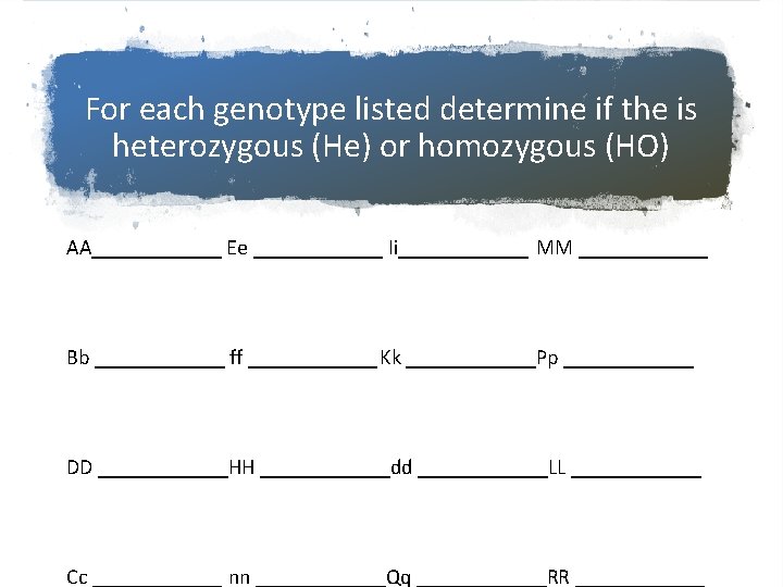 For each genotype listed determine if the is heterozygous (He) or homozygous (HO) AA______
